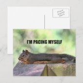 Carte Postale Photo de l'écureuil blond (Devant / Derrière)