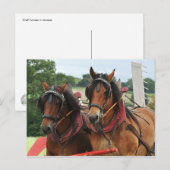 Carte Postale Photo de l'équipe de chevaux de moisson (Devant / Derrière)
