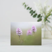 Carte Postale Photo de l'orchidée sauvage (Debout devant)