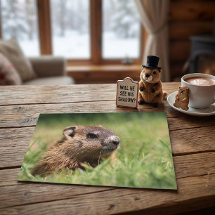 Carte Postale Photo de marmotte mignonne regardant l'herbe verte