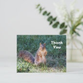 Carte Postale Photo de mignon écureuil merci (Debout devant)