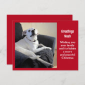 Carte Postale Photo de mignonne Talking Dog Red Christmas (Devant / Derrière)