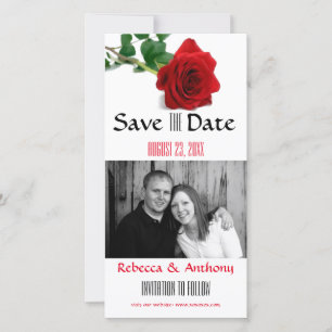 Carte postale photo de mise en garde Rose Rouge Aq