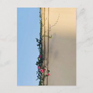 Carte Postale Photo de moment calme