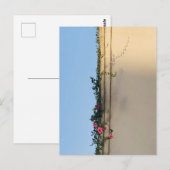 Carte Postale Photo de moment calme (Devant / Derrière)