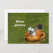 Carte Postale Photo de naissance de canard coloré mignon (Devant / Derrière)