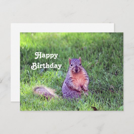 Carte Postale Photo de naissance de faune d'écureuil mignon (Devant / Derrière)