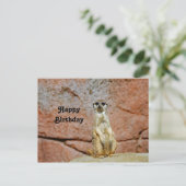 Carte Postale Photo de naissance de la faune des suricates (Debout devant)