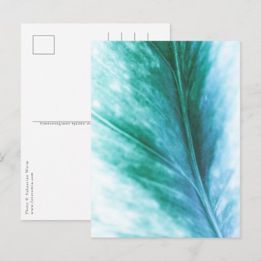 Carte Postale Photo de nature florale (Devant / Derrière)