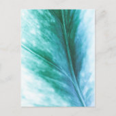 Carte Postale Photo de nature florale (Devant)