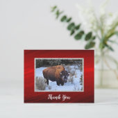 Carte Postale Photo de neige de Buffalo Merci (Debout devant)