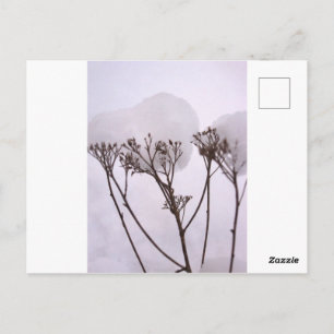 Carte postale photo de neige hivernale