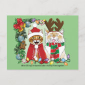 Carte Postale Photo de Noël annuelle du chat (Devant)