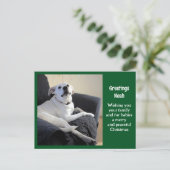 Carte Postale Photo de Noël Vert chien de mignonne Talking (Debout devant)
