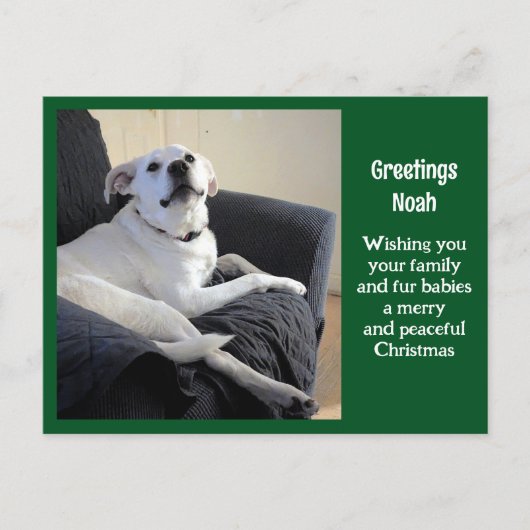 Carte Postale Photo de Noël Vert chien de mignonne Talking (Devant)