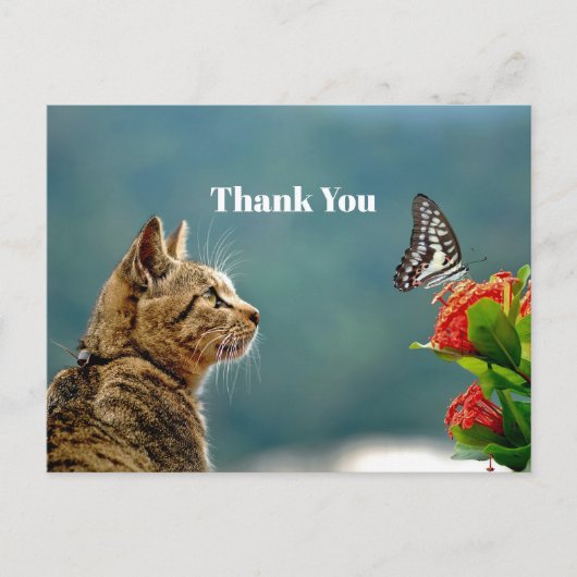 Carte Postale Photo de papillon de chat tabby mignon Merci (Devant)