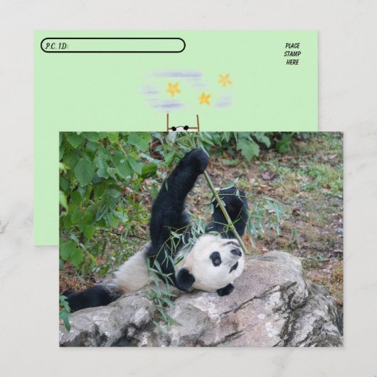 Carte Postale Photo de passage d'un panda géant (Devant / Derrière)