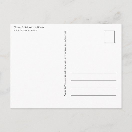 Carte Postale Photo de paysage marin de voilier (Dos)