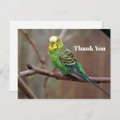 Carte Postale Photo de perroquet vert joli Merci (Devant / Derrière)
