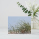 Carte Postale Photo de plage (Debout devant)