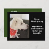 Carte Postale Photo de profil de Chien Chien Chien blanc mignon  (Devant / Derrière)