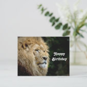 Carte Postale Photo de profil de lion pour anniversaire (Debout devant)