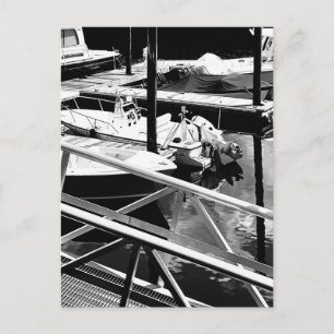 Carte Postale Photo de quai de bateau à quai maritime en bord de