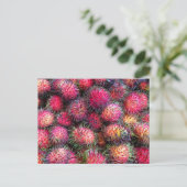 Carte postale photo de Rambutans (Debout devant)