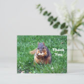 Carte Postale Photo de remerciement de l'écureuil mignon avec ca (Debout devant)