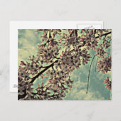CARTE POSTALE PHOTO DE SAKURA (Devant / Derrière)