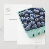 Carte Postale Photo de studio de bleuets (Devant / Derrière)