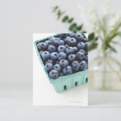 Carte Postale Photo de studio de bleuets (Debout devant)