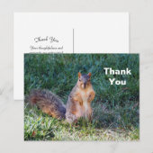 Carte Postale Photo de sympathique écureuil merci (Devant / Derrière)