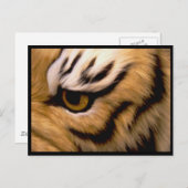 Carte postale photo de tigre (Devant / Derrière)