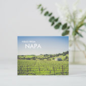 Carte postale photo de vignoble de Napa (Debout devant)
