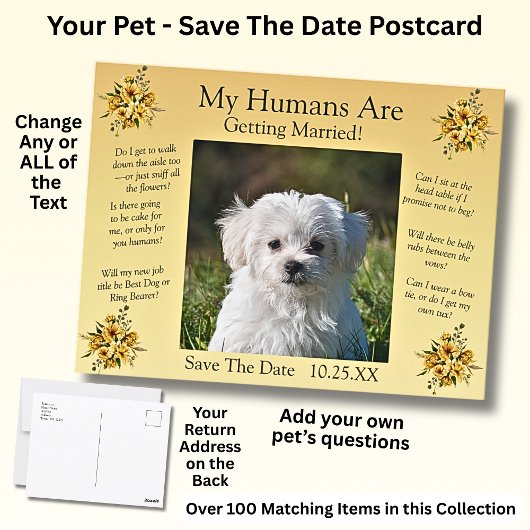 Carte Postale Photo De Votre Animal De Compagnie Enregistrer La