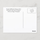 Carte Postale Photo de voyage du mont Hood, Oregon (Dos)