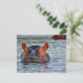 Carte Postale Photo d'eau d'Hippo Faune (Debout devant)