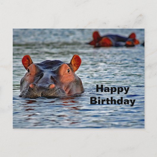 Carte Postale Photo d'eau d'Hippo Faune (Devant)