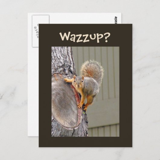 Carte Postale Photo d'écureuil (Devant / Derrière)