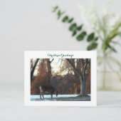 Carte postale photo Deer in Snow (Debout devant)