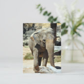 Carte Postale Photo d'éléphant asiatique (Debout devant)