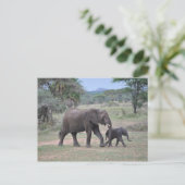 Carte Postale Photo d'éléphant mère et bébé (Debout devant)