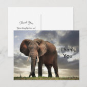 Carte Postale Photo d'éléphant sauvage Merci (Devant / Derrière)