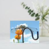 Carte Postale Photo Dragonfly Marigold Sky (Debout devant)