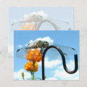 Carte Postale Photo Dragonfly Marigold Sky (Devant / Derrière)