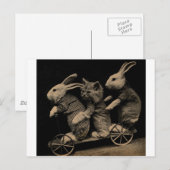 Carte Postale Photo drôle de chaton et de lapin vintage (Devant / Derrière)