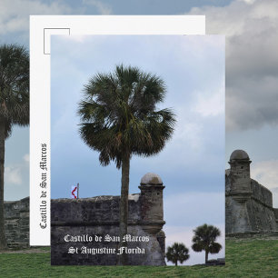 Carte Postale Photo du Castillo de San Marcos St Augustine FL