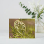 Carte Postale Photo du coeur de Fern Fiddlehead (Debout devant)