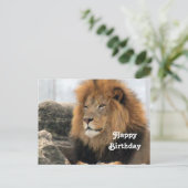 Carte Postale Photo du lion de la faune Anniversaire (Debout devant)